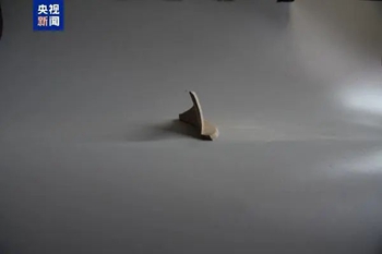 /